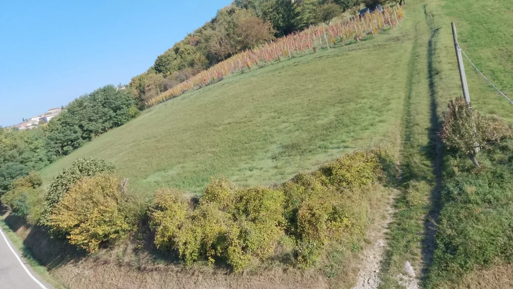 Foto 3 di Appartamento panoramico a Alta Val Tidone